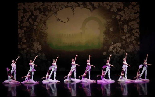 舞動(dòng)經(jīng)典 以舞今信息為媒，重賞歌劇名篇新境